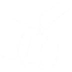 RJ_Iconen_verzameling_2025_-01.original